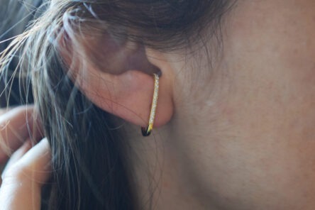 Alternative view of Earstuds Around Zirconia