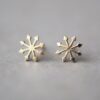 Star Earstuds