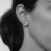Earstuds Starflower