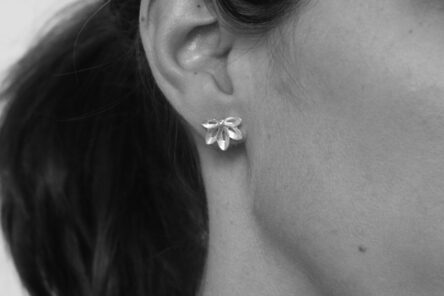 Earstuds Starflower