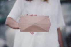 Zand-erover: 3D Case