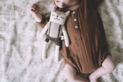 fawn_overall