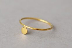 Ring Shiny Disc