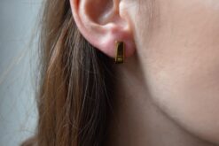 Alternative view of Earstuds Around
