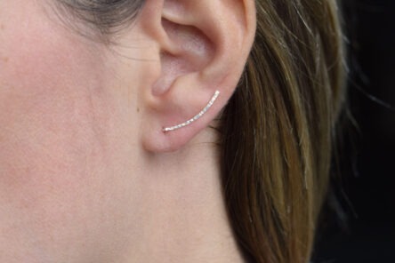 Alternative view of Earcrawler Hammered