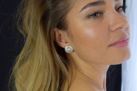 Alternative view of Earstuds Leave Cutout