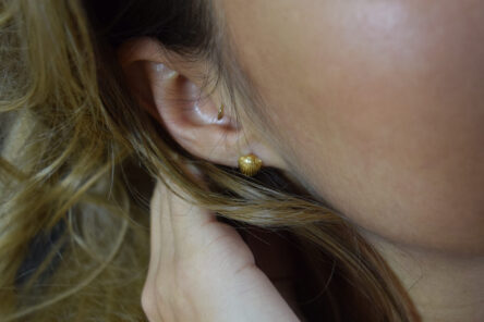 Alternative view of Earstuds little Shell