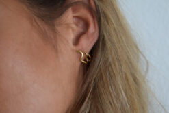 Alternative view of Earstuds Shaped Wave