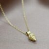 Necklace Tulip Shell