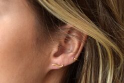 Alternative view of Earstuds Wave