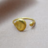 Ring Leaf