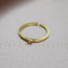Ring Ramson – Bild 3