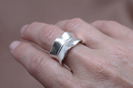 Alternative view of Ring Shaped Leaf