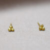 Earstuds Ramson