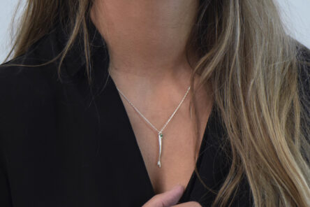 Alternative view of Necklace Fish