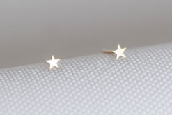 Earstuds Tiny Star Yellow Gold 9ct
