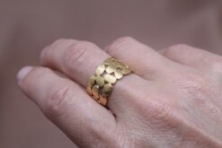 Alternative view of Ring Puzzle